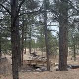 Black Forest Regional Park