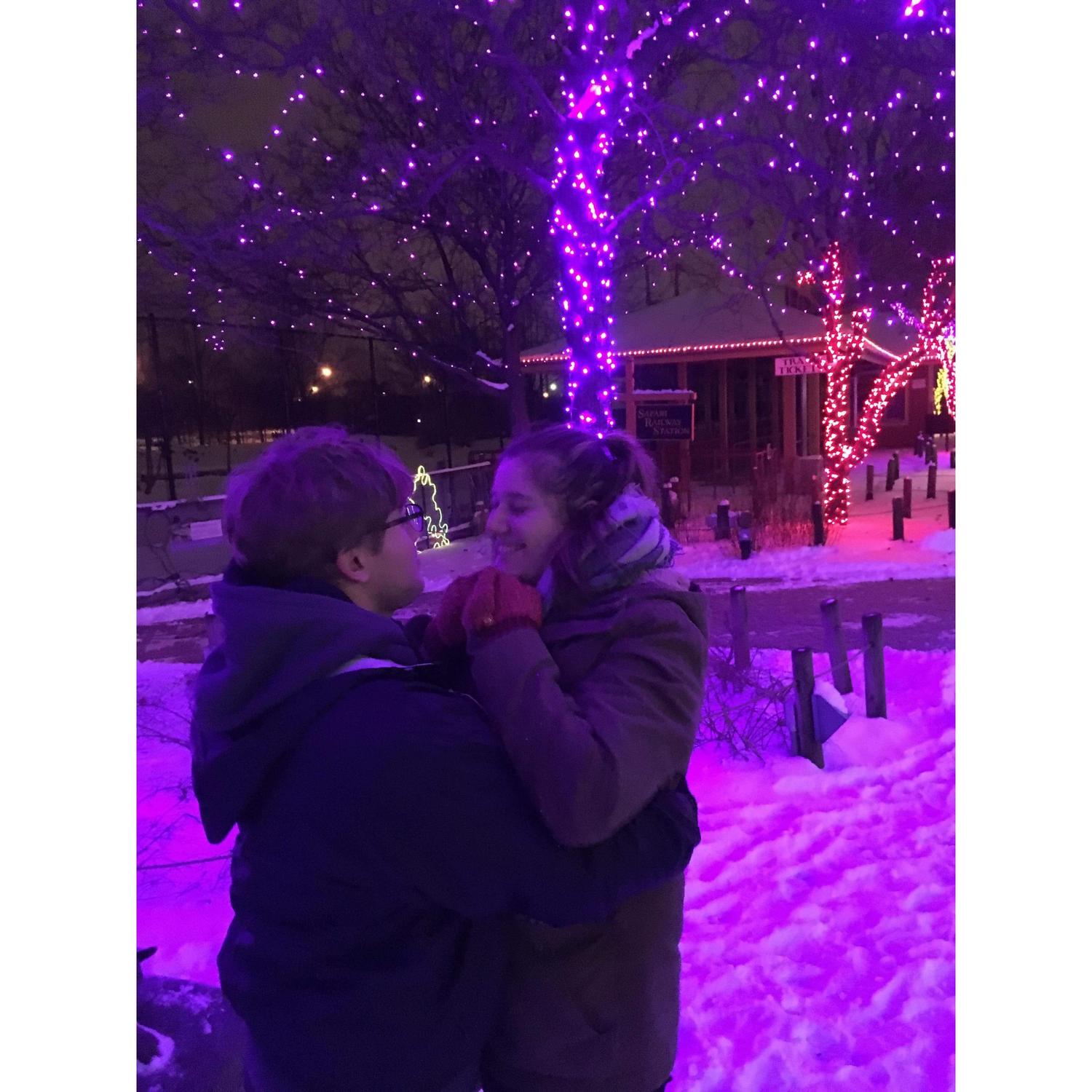 Zoo Lights in Toledo!