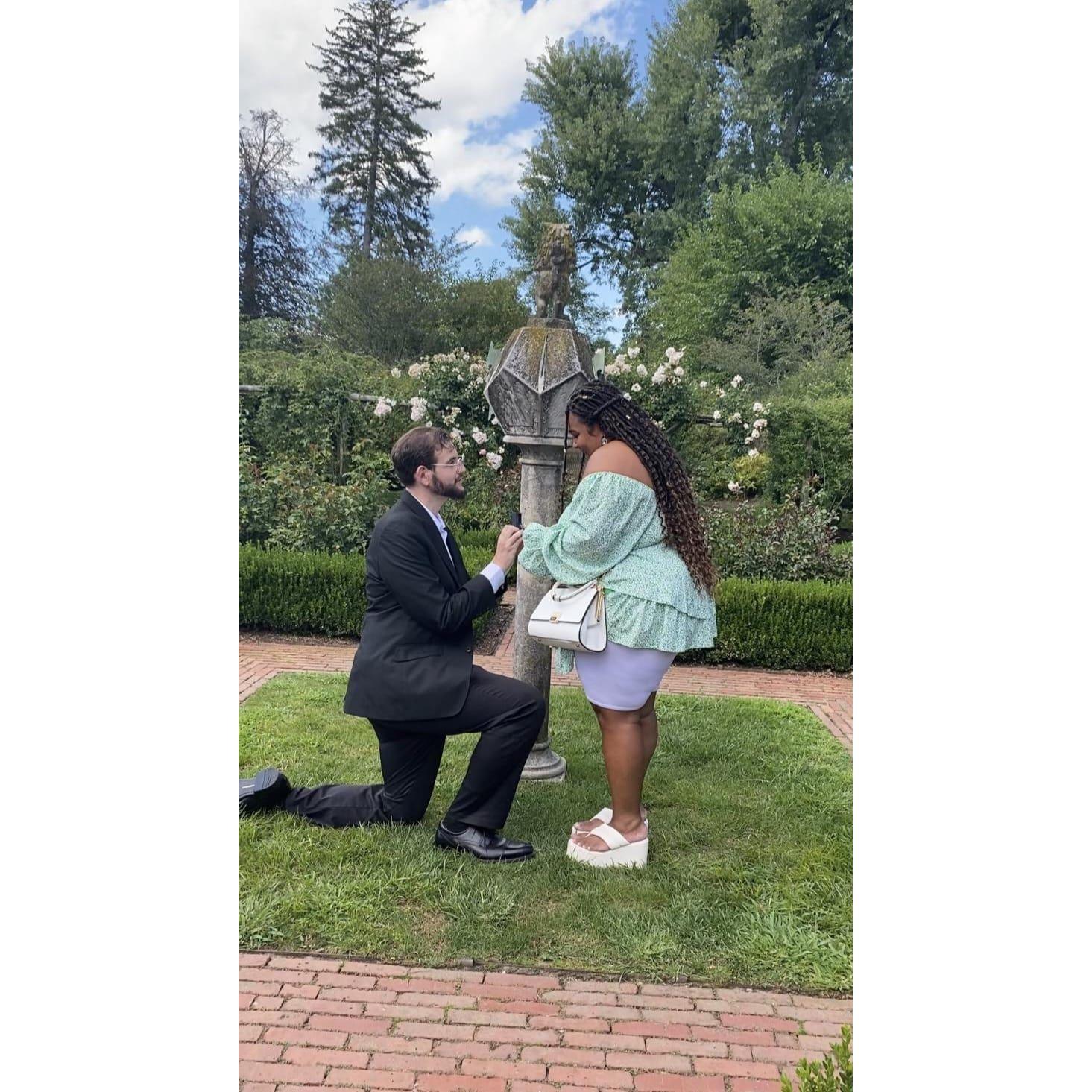 The Proposal