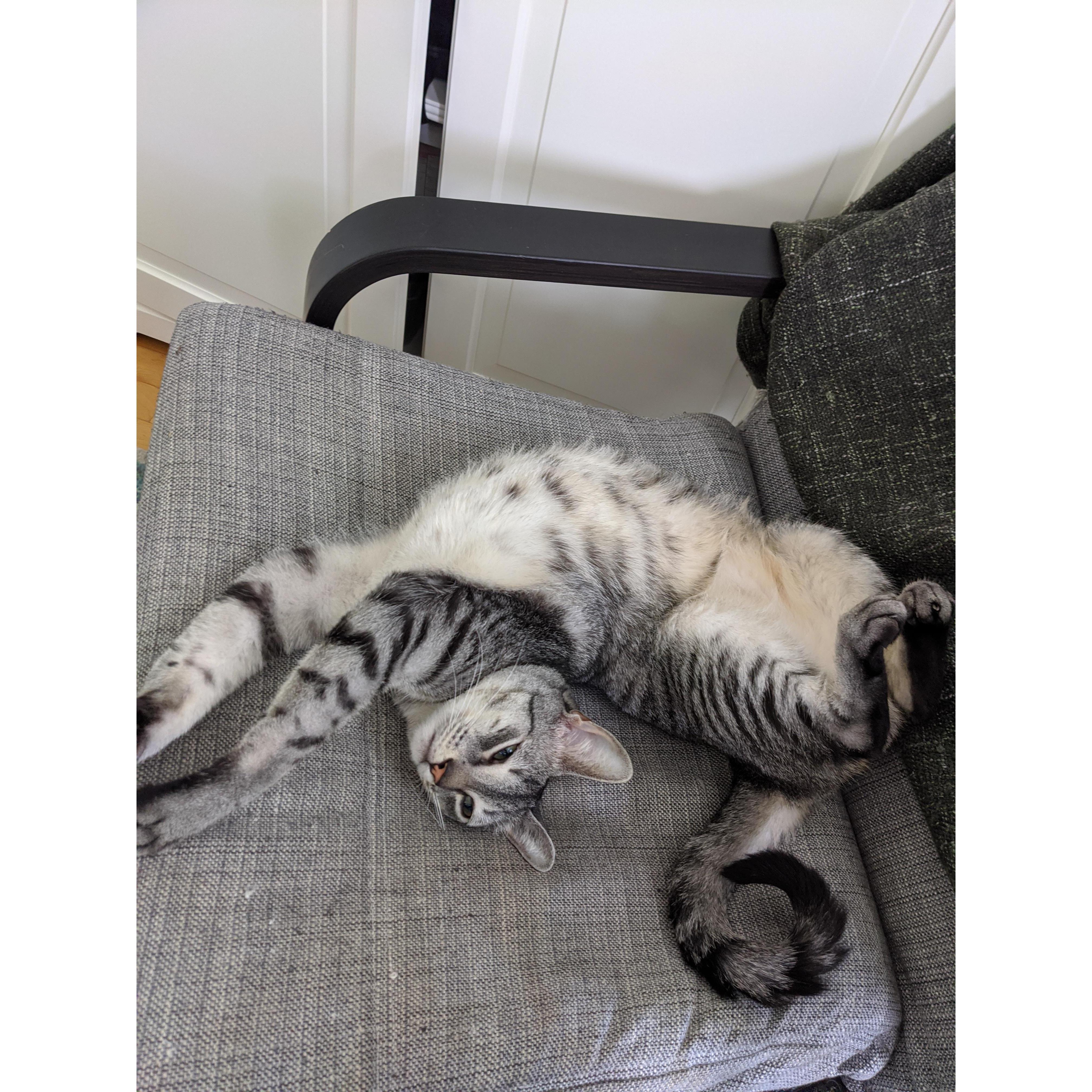 Small one in Brooklyn