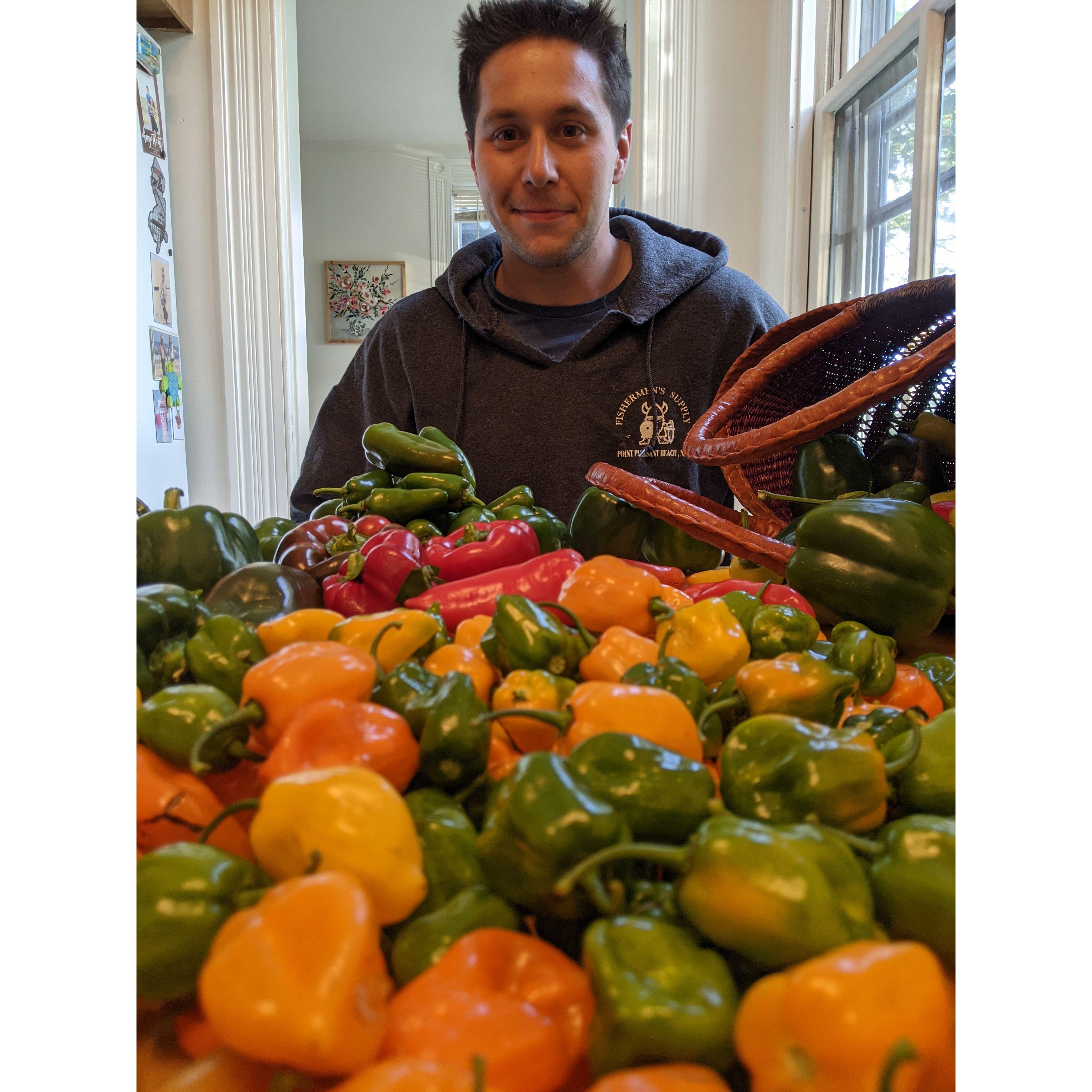 A bountiful harvest from the garden