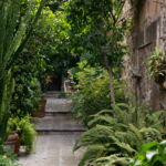 Casa Dragones Tequila