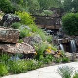 Betty Ford Alpine Gardens