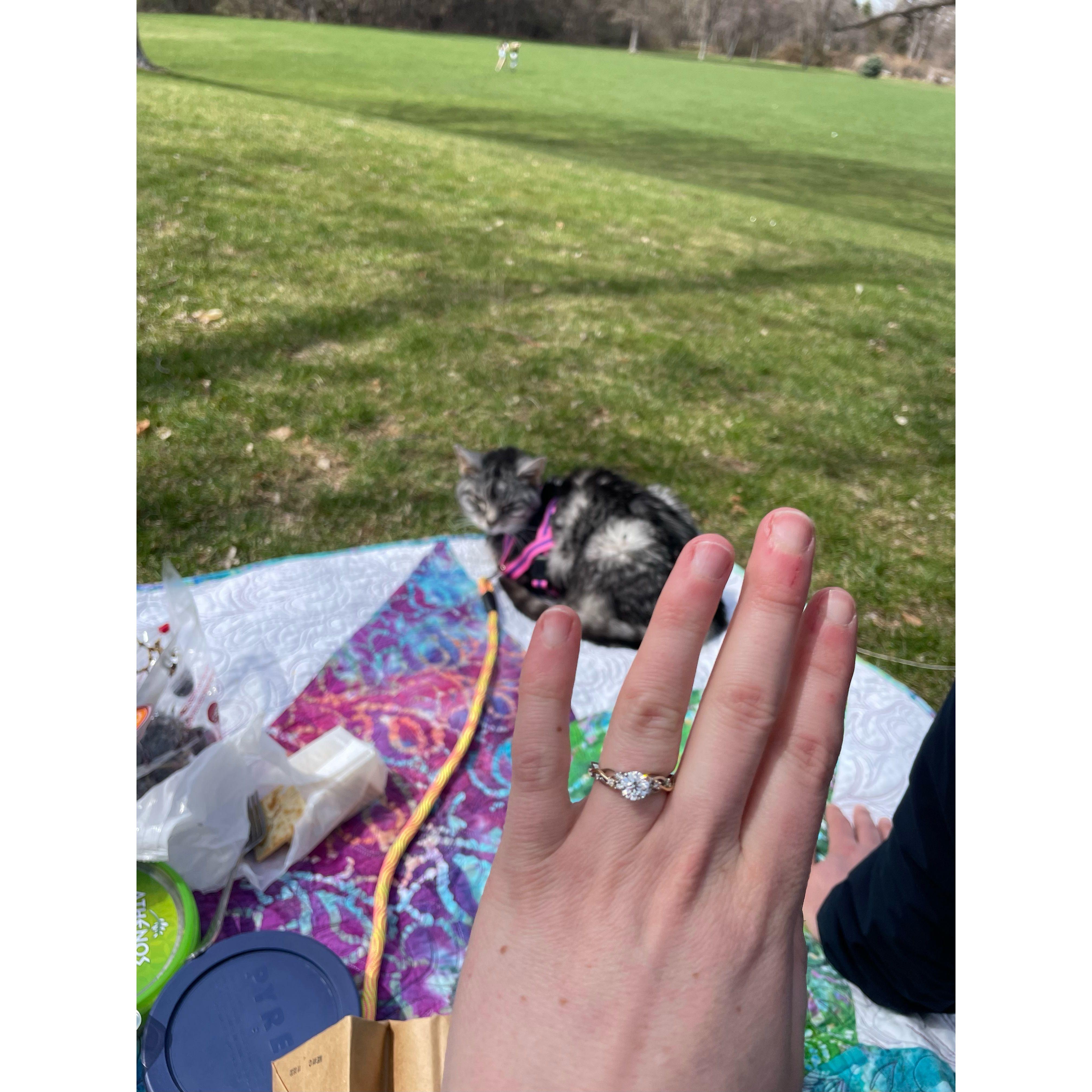 Brad included Minnie, Mack's childhood cat, in the proposal! Truly so special. Minnie past away a few months later, and Mack treasurers the memory and photos.