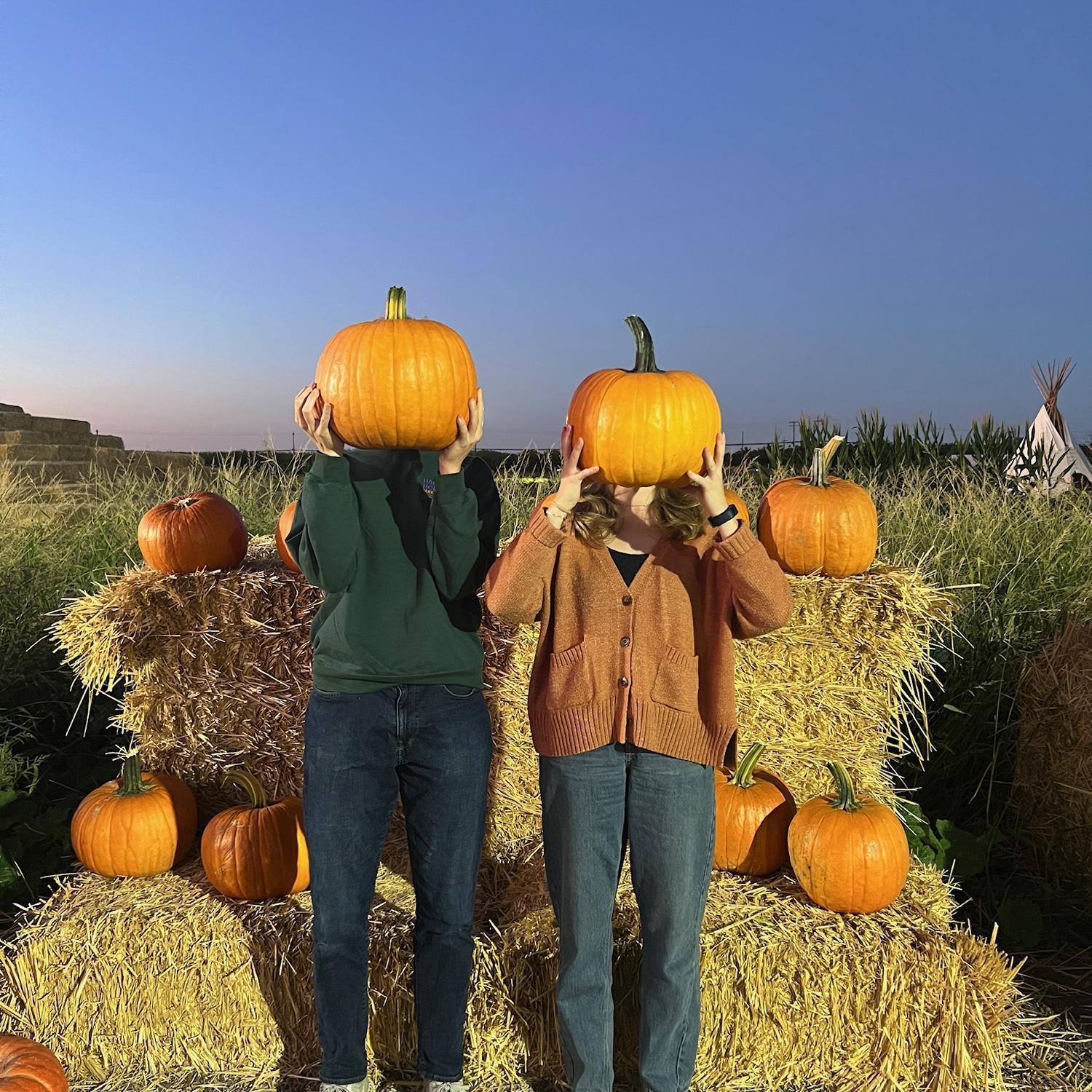 Successfully made it through the world’s largest corn maze!