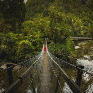 Mistico Hanging Bridges Experience
