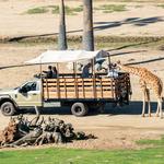 San Diego Zoo Safari Park