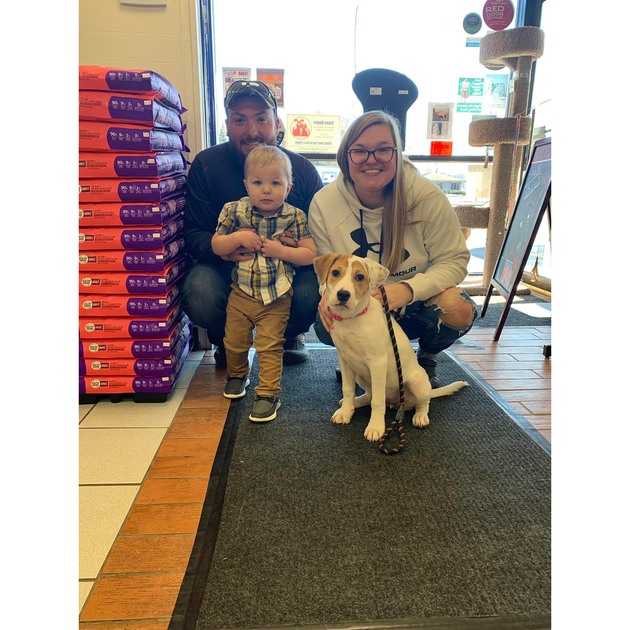 Brought Home Reba Rose. April 2022