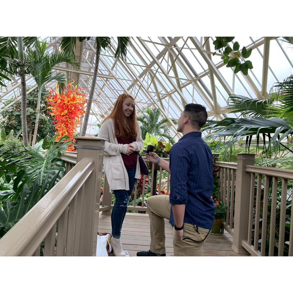 The proposal at Franklin Park Conservatory in Columbus, OH!