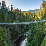 Capilano Suspension Bridge Park
