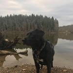 Peters Lake Park