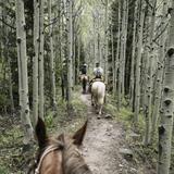Horseback Riding
