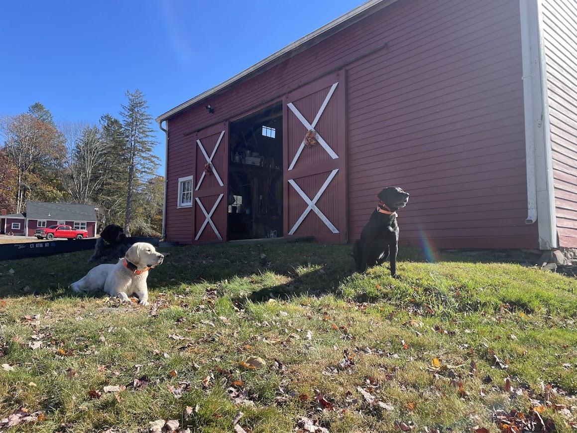 The Wedding Website of Jenny Kilburn and Kyle Murray