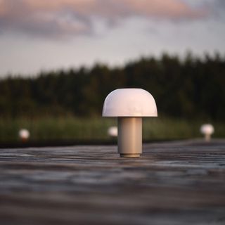 Harvest Moon Lamp