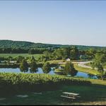 Chandler Hill Vineyards