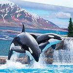 SeaWorld San Diego
