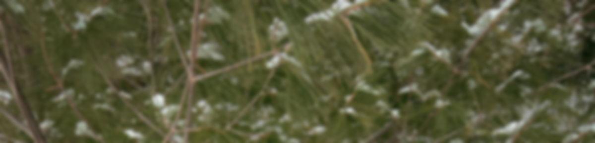 e45a3037-131b-4434-af3d-6f2e997b36bf