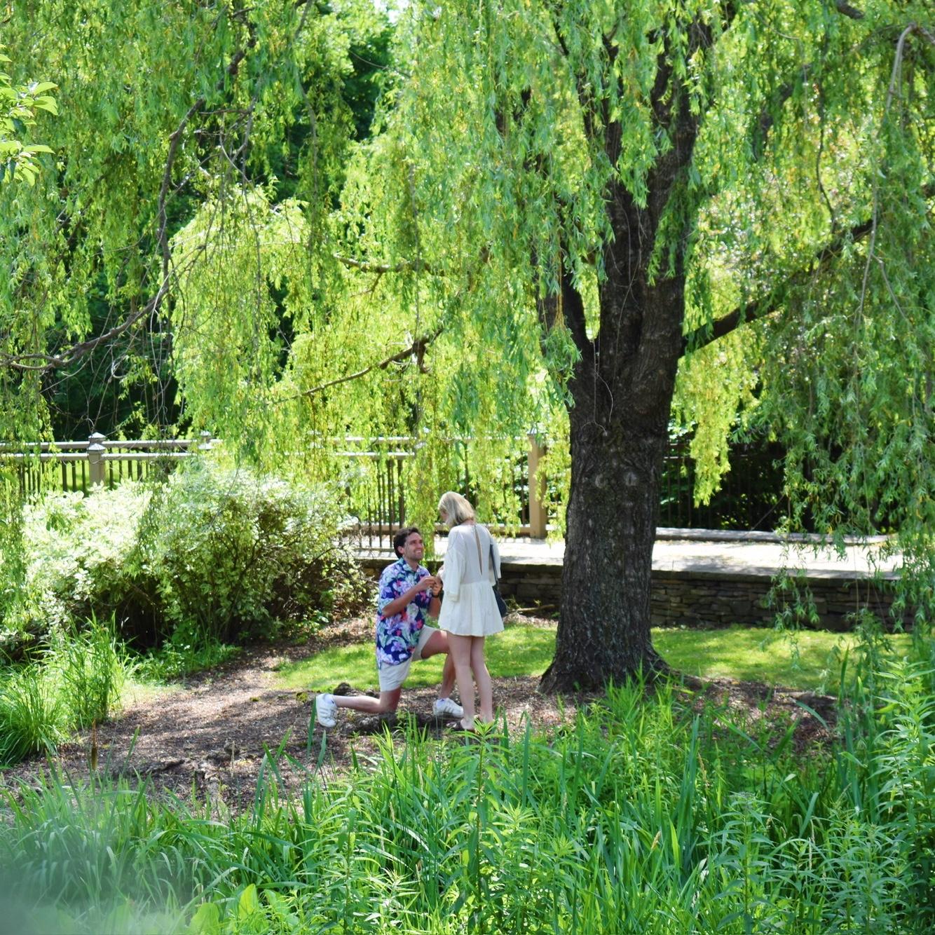 The most perfect engagement at the original site of Woodstock in Bethel, NY.
