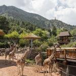 Cheyenne Mountain Zoo