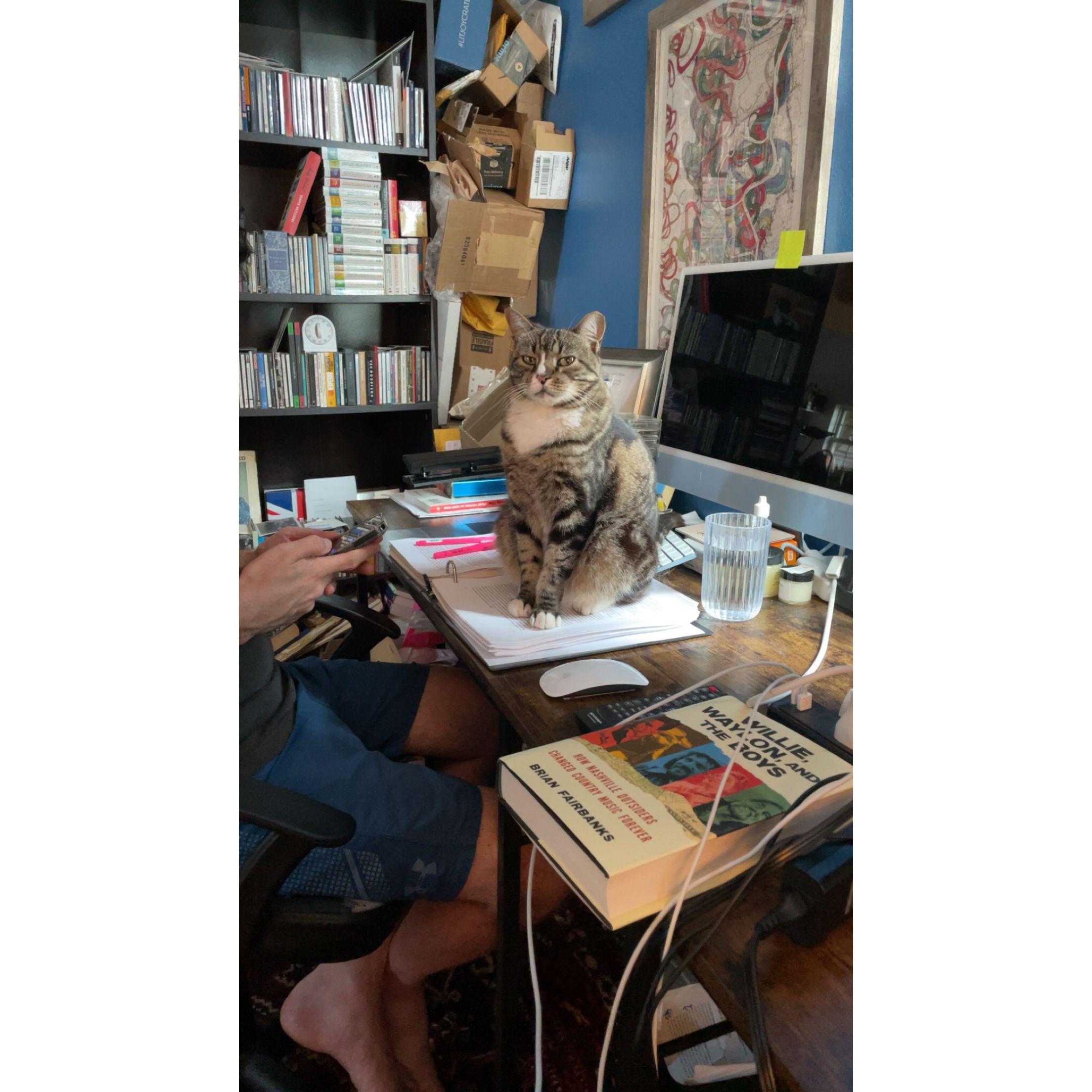 Katie is co-authoring Brian’s next book.