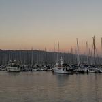Dart Coffee Co - SB Harbor