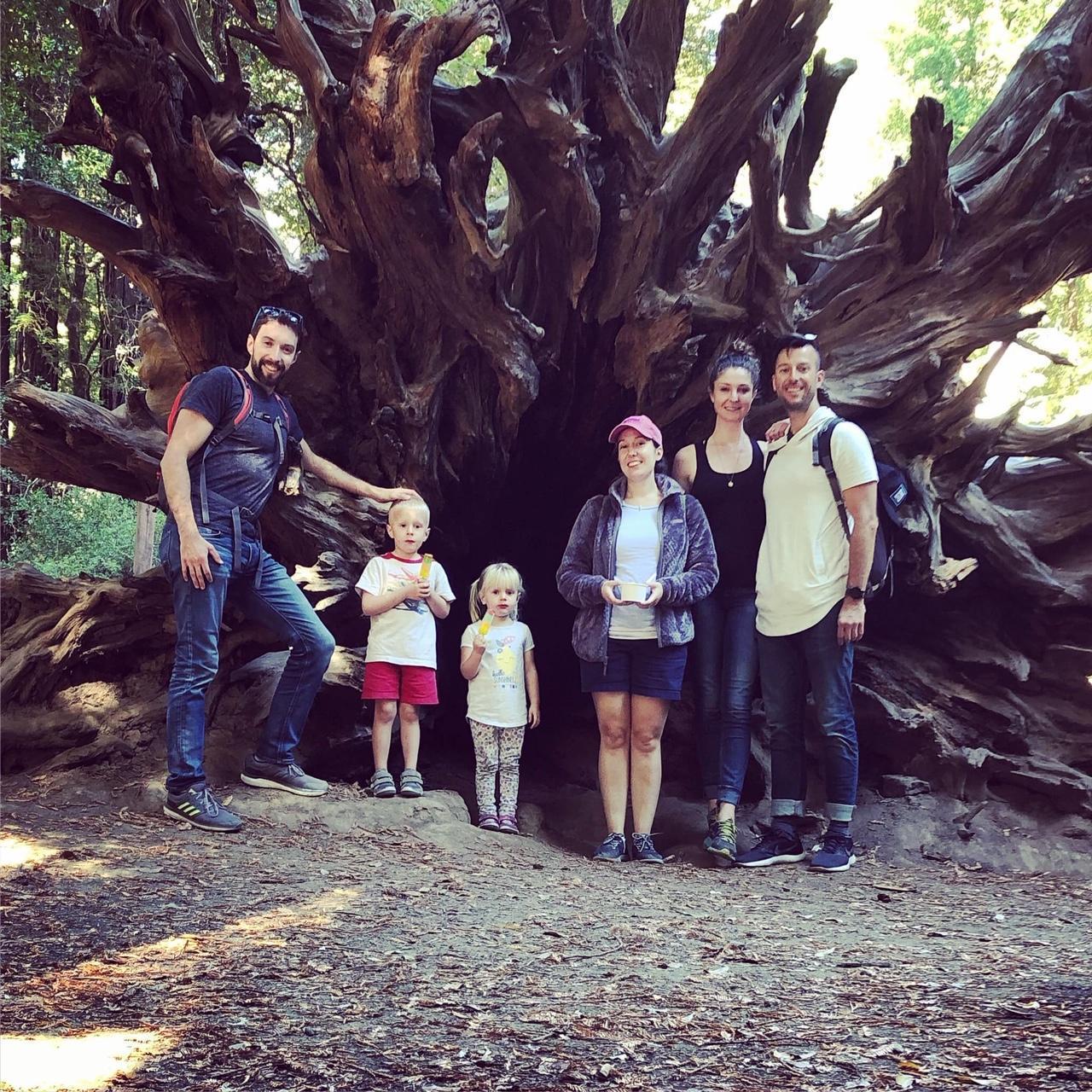 Laurel became a part of the family early on. We took the family for a hike at Big Basin during their first visit to meet Laurel.