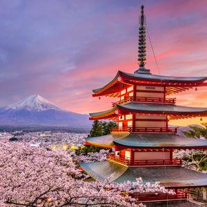 Honeymoon Fund - to Japan we go!