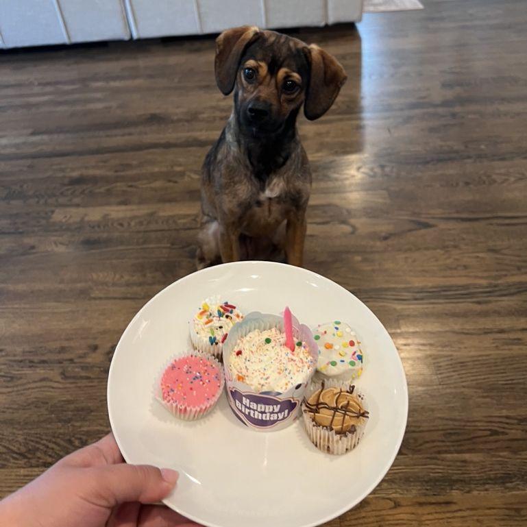 Sandy's first birthday