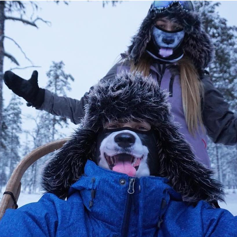 That time we went dog sledding... as dogs