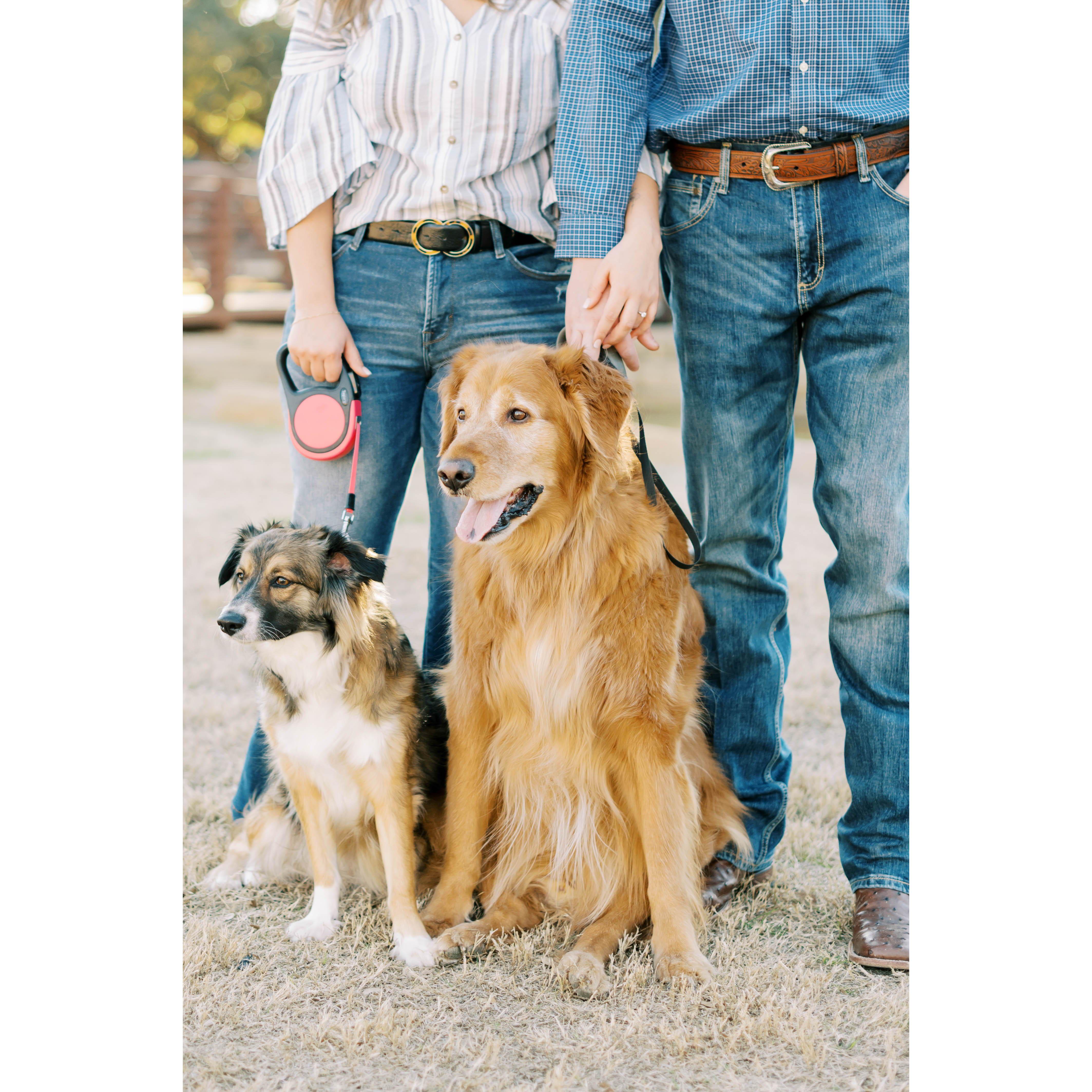 Some of our engagement photos :)