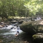 Fishing at Tremont
