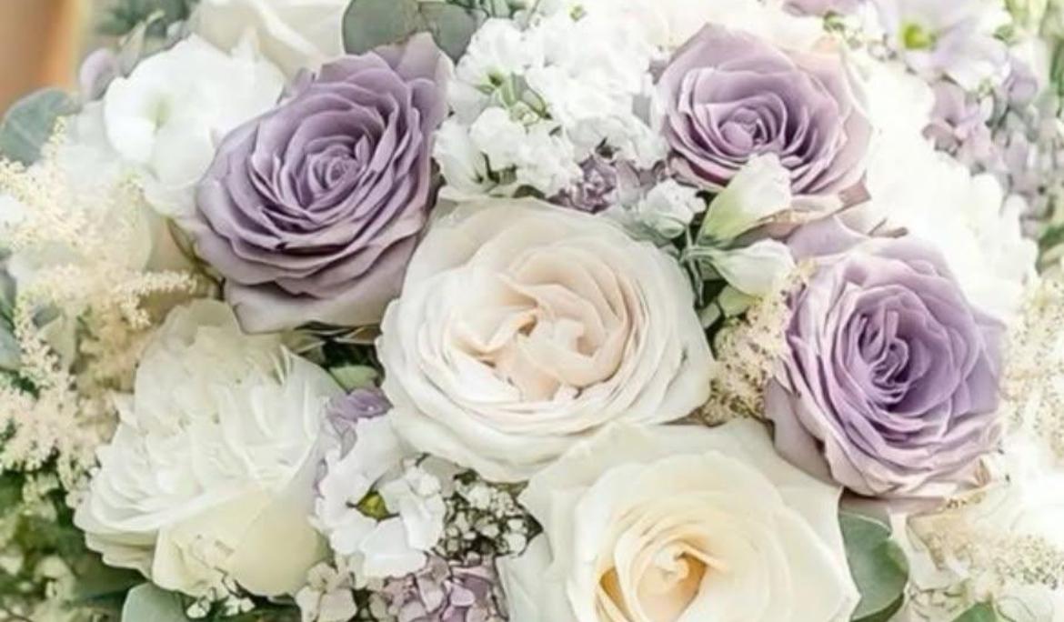 The Wedding Website of Erika Satie and Eric Bennett