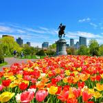 Public Garden/Boston Common