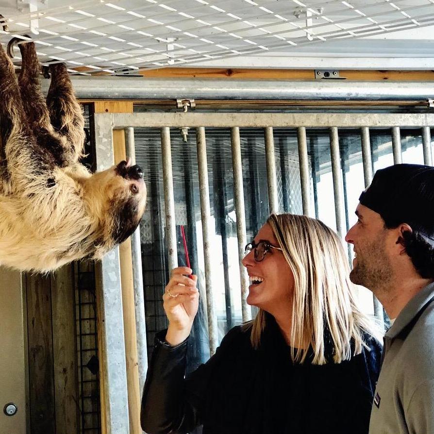The day we met a sloth!