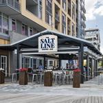 The Salt Line