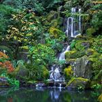 Portland Japanese Garden