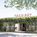 Taco Boy