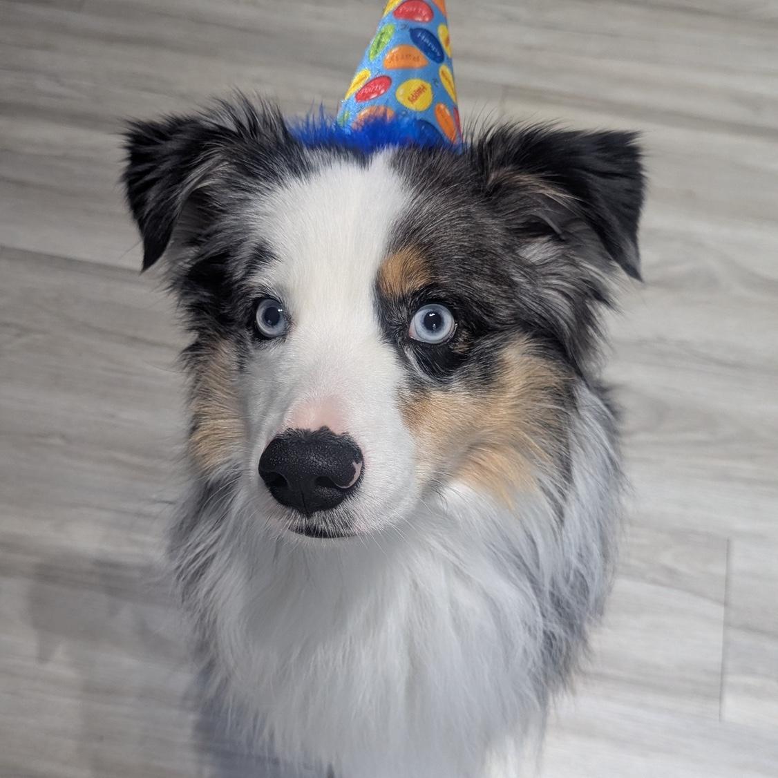 Our son the Blu