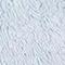 Light Blue/white
