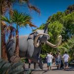 San Diego Zoo