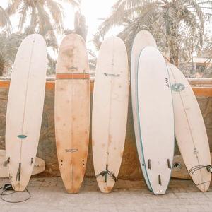 Surf Lessons in Sayulita