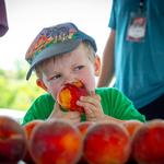 Palisade Peach Festival (Friday August 21st)