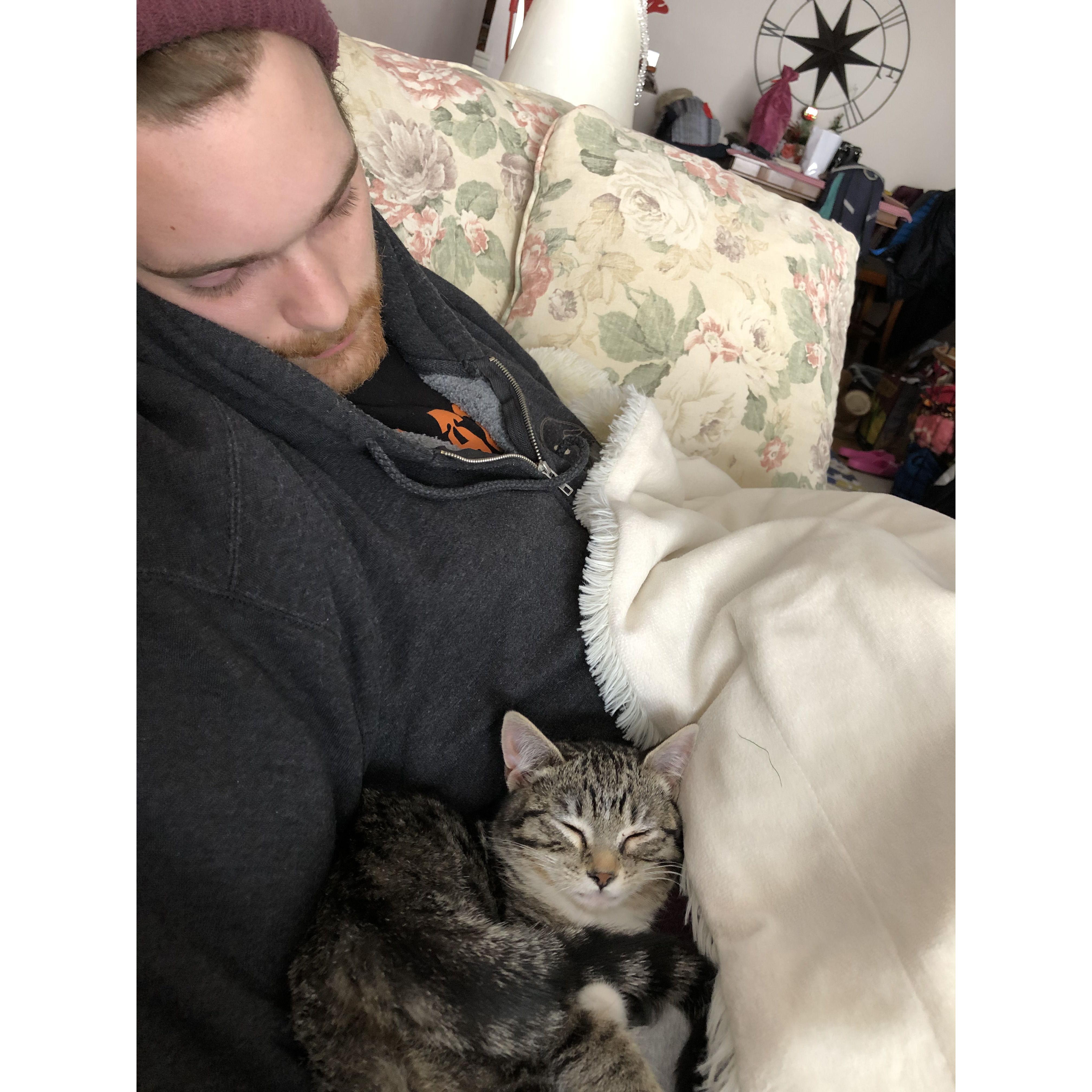 Alex and Wunderbar caught snoozing on Sunday afternoon!