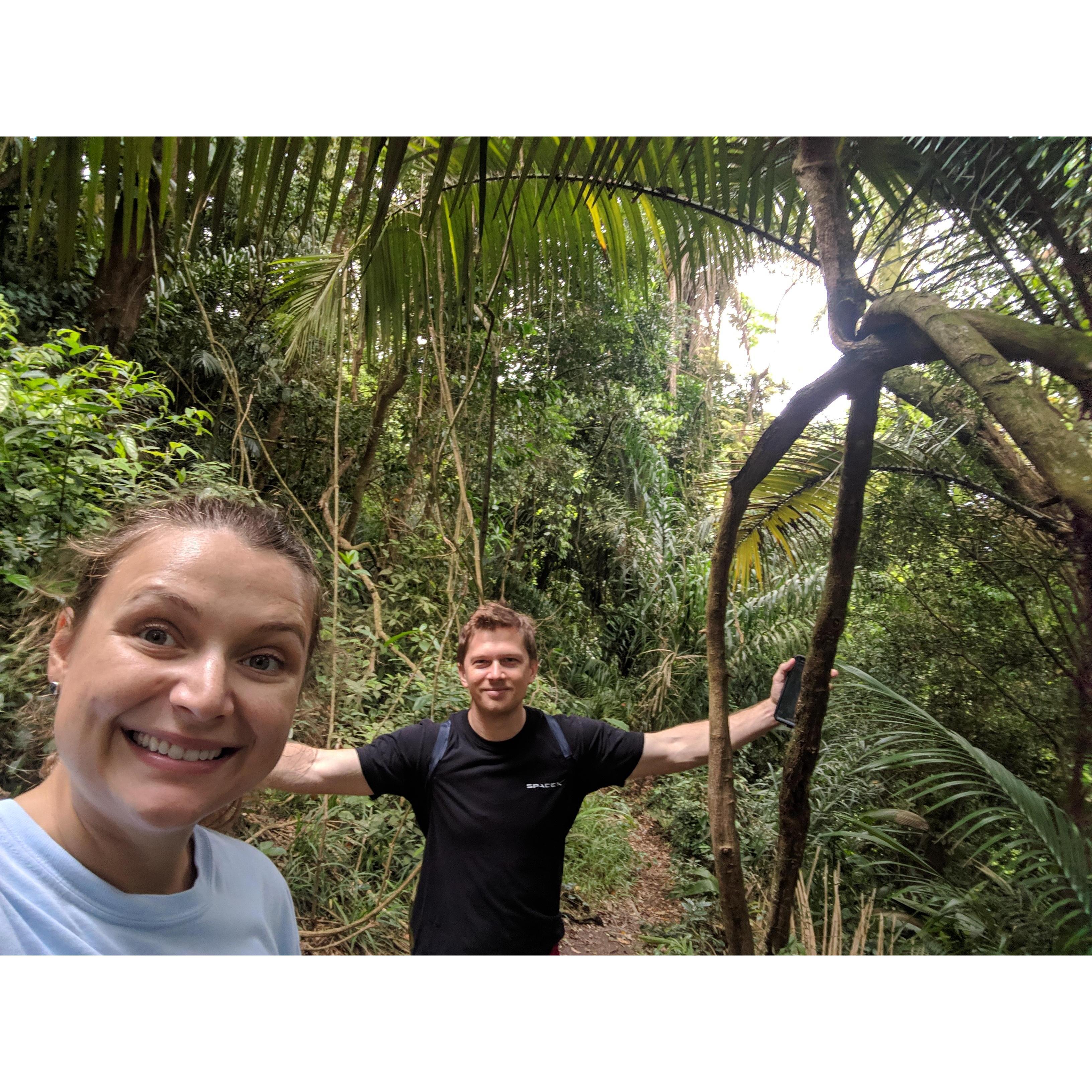 Trail/Trilha (Santos, Sao Paulo, Brazil, 2018)