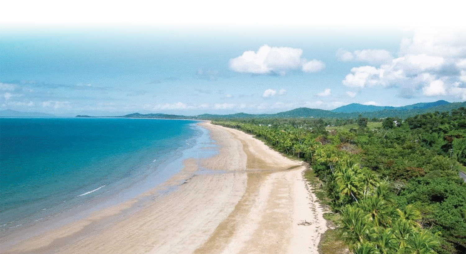 Footer image
