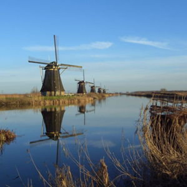 Kinderdijk windmills-Honeymoon Excursion Fund