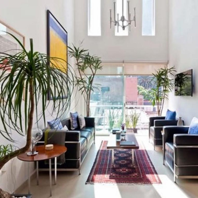 Mexico City Apartment