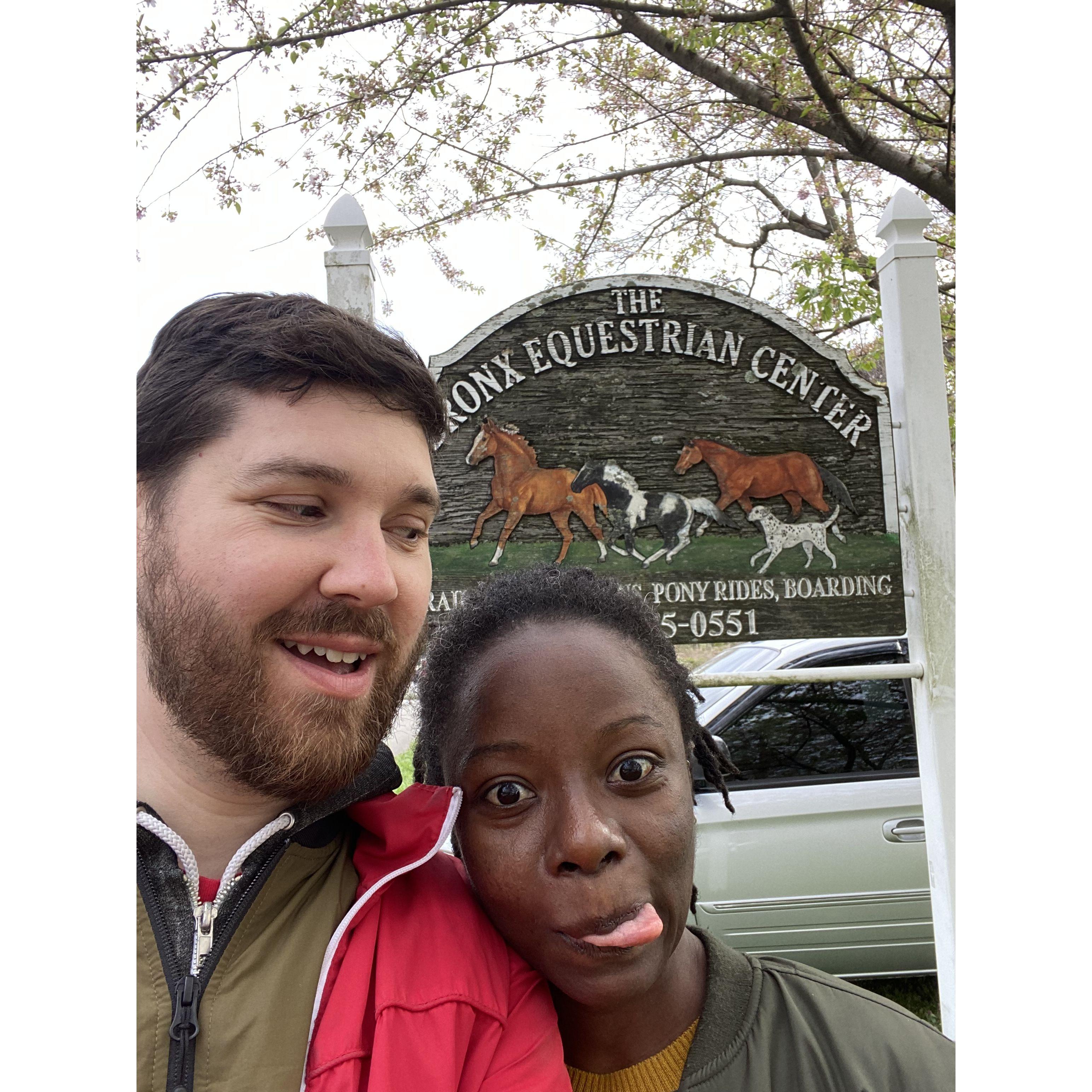 There are horses in the Bronx!