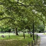 McCarren Park
