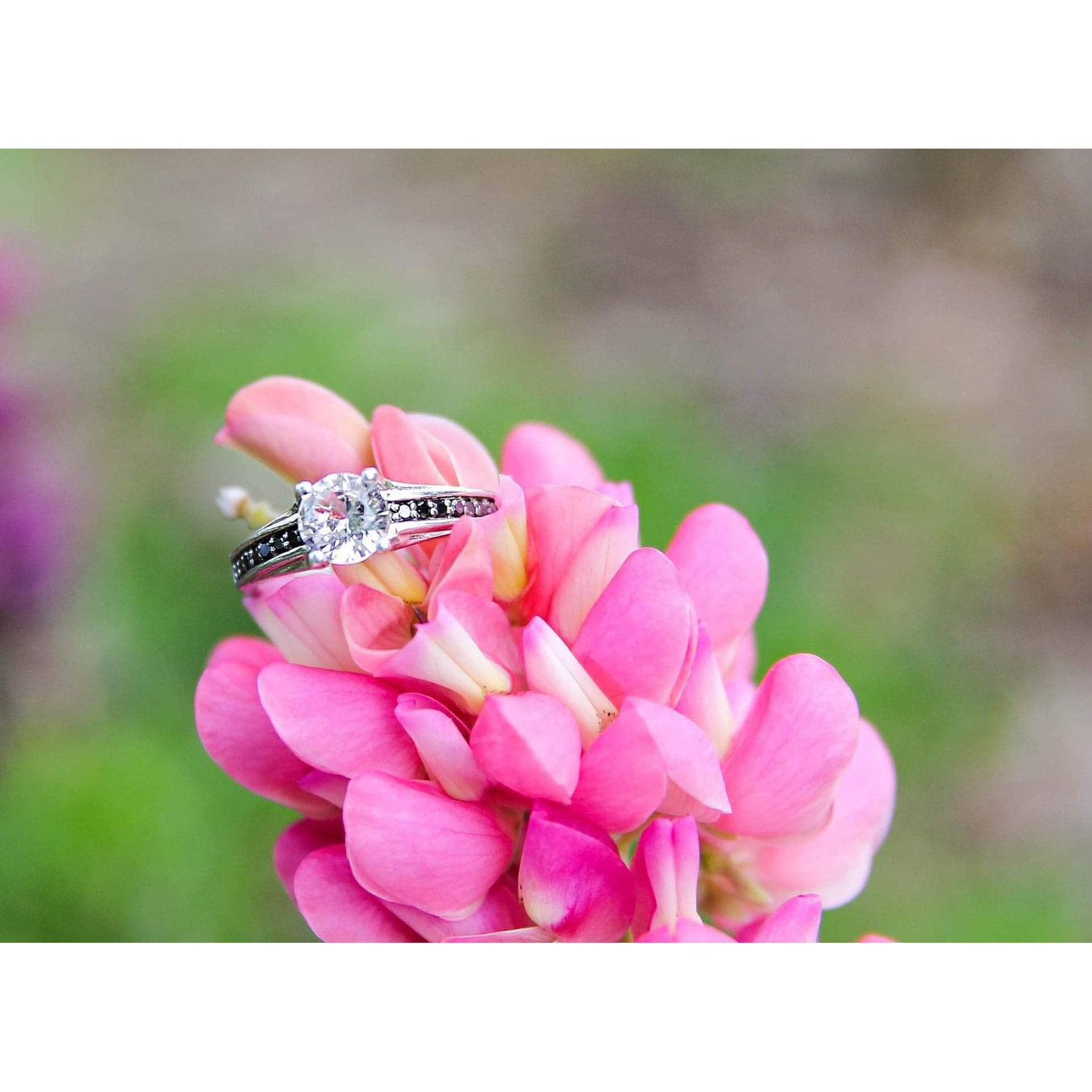 Engagement Photos 🖤
♡Location: North Tonawanda Botanical Gardens
♡Photographer: Alyssa Knowlton, Lyssa Lee Photography